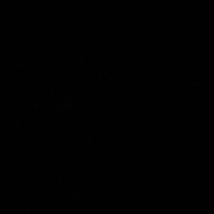 Meet your Posher, Lauryl